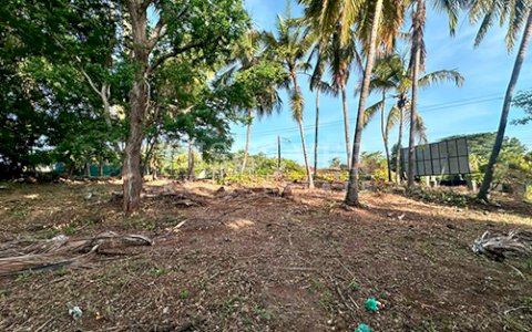  Land for sale on the Old Highway to León