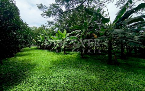  Land for sale/rent in Esquipulas - On main street