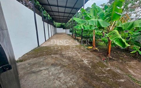  Pig farm and crops for sale on Carretera Vieja to León