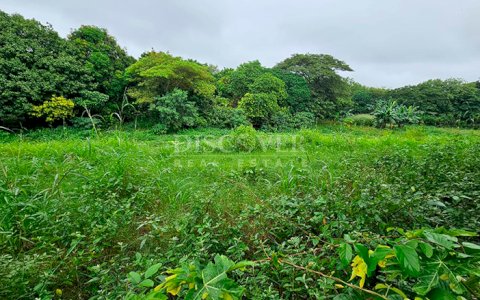  Land for sale in Las Jagüitas