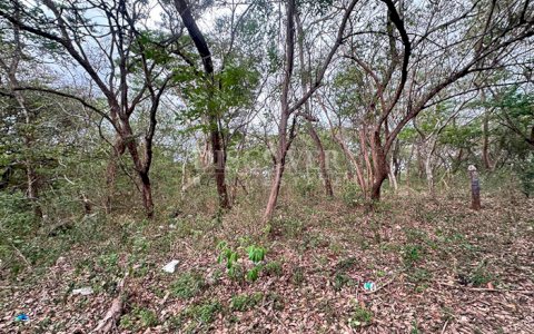  Flat land plots for sale - Carretera Sur