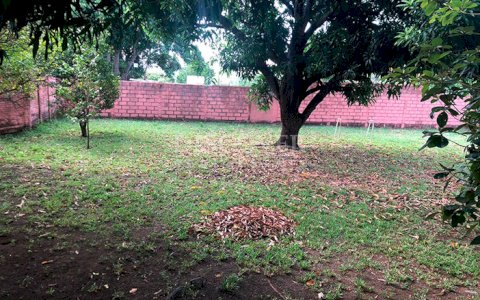  Land with perimeter wall for sale - Carretera Nueva a León