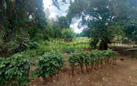 Land facing the highway with buildings for sale - Masatepe