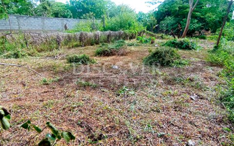Land for sale in a developing area in Managua