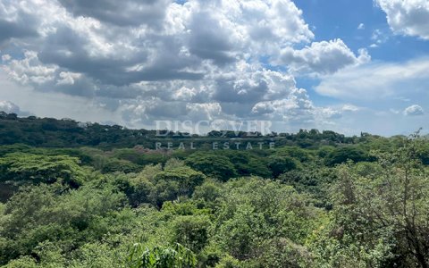 Land for sale with panoramic views on Carretera Sur