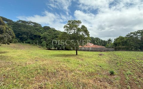  Land for Sale in Villa Fontana – Ideal for Condominium or Exclusive Residential Development