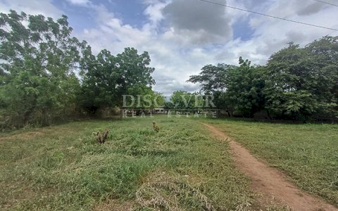  Land for Sale/Rent, Ideal for Warehouses on Carretera Nueva a León