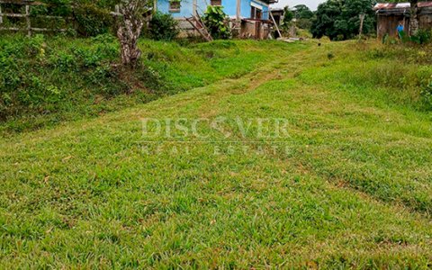  Coffee farm for sale in Jinotega - High production and excellent location