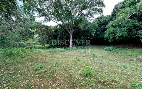 Farm for sale in Jocote Dulce – Great agricultural potential 