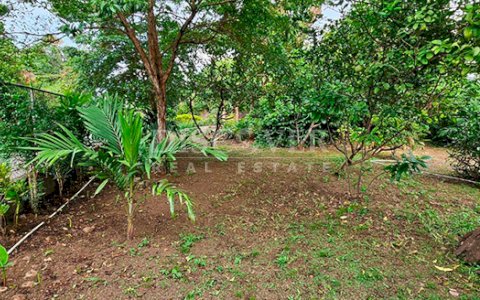  Land for sale opposite the highway on Carretera Sur 