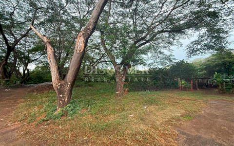 Flat land for sale – San Judas 