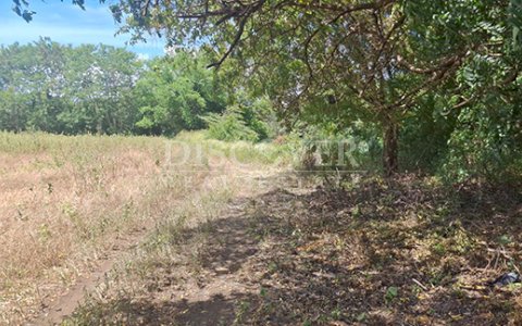  Flat land for sale in Sabana Grande 