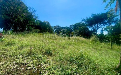 Land for sale in front of the highway in Niquinohomo