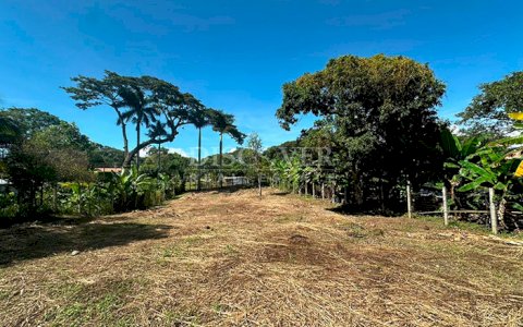  Land for sale facing the highway in Niquinohomo
