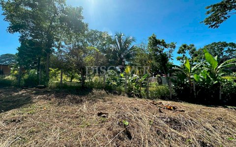  Flat land for sale in Niquinohomo 