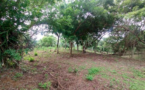  Flat land for sale opposite Carretera a Masaya