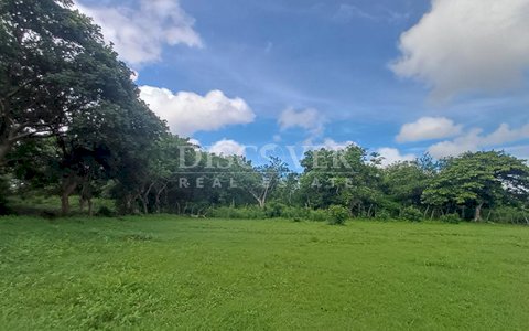  Land for commercial development for sale on the Masaya-Granada highway.