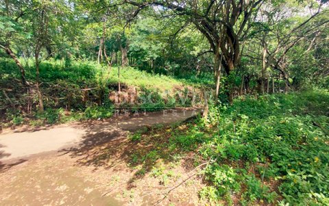  Land surrounded by nature for sale on Carretera Sur