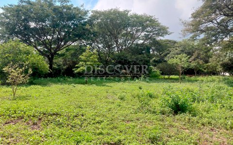  Flat land for sale on Carretera Sur