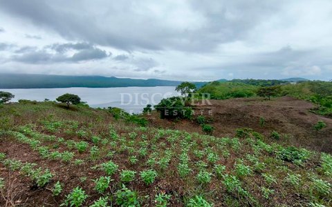 Agricultural land for sale in Masaya 