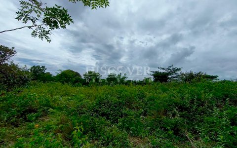  Flat land for sale in Masaya