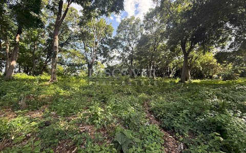 Flat land for sale in Villa Fontana