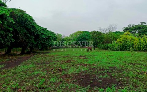 Flat land for sale in Veracruz
