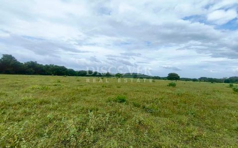 Large plot of land for sale in Veracruz 