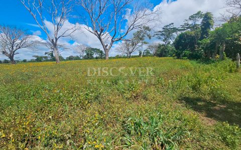  Completely flat land for sale in Diriamba