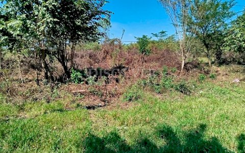  Land for Sale Corinto Highway