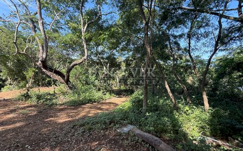 Land for sale in San Isidro de la Cruz Verde 