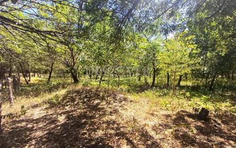 Land for sale, ideal for a warehouse or factory, on the road to Xiloá