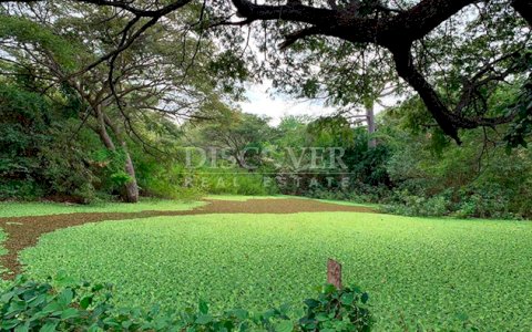 Farmhouse surrounded by nature for sale in Granada