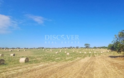 Land for sale, ideal for development on the Masaya to Tipitapa highway 