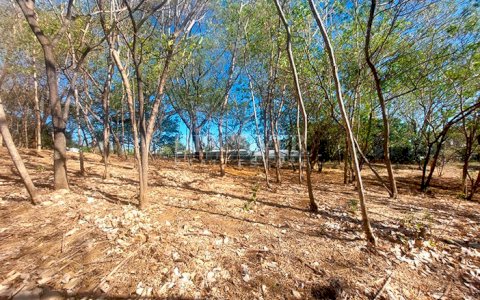 Land for sale in a condominium in Santo Domingo 