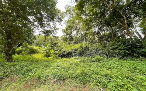  Land for sale in Villa Fontana