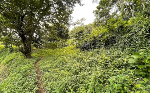  Land for sale in Villa Fontana
