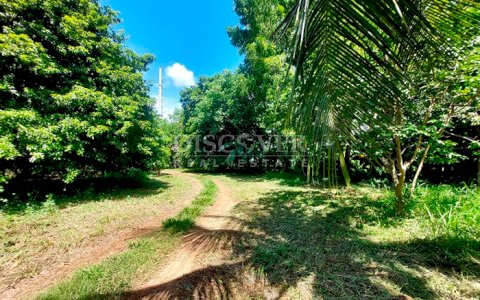 Sale of land with strategic location on the road to Masaya