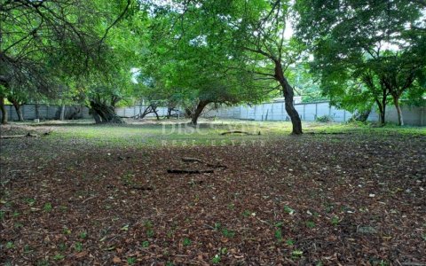  Land for sale on south road