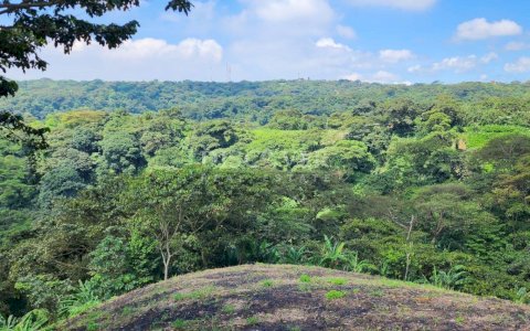  Land for Sale in El Crucero Carretera a Las Nubes