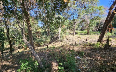  Land for Sale on Carretera Sur