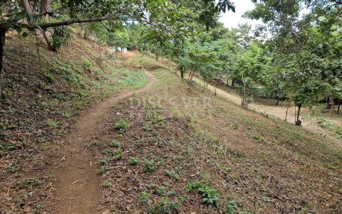  Half a block of land for sale in Villa Fontana