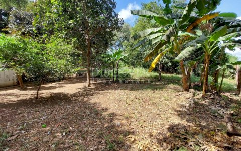  Land for Sale on the Masaya Road