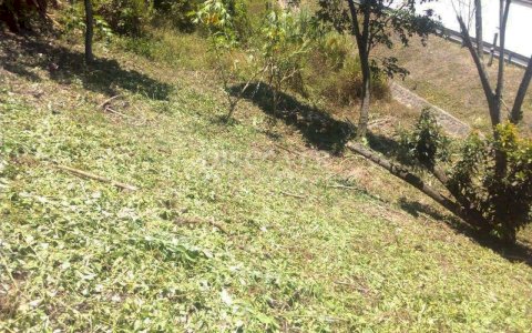  Land for Sale in Carretera Sur