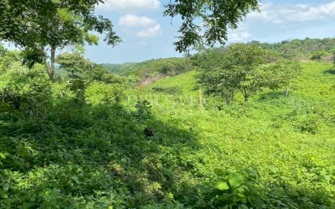  Agricultural property for sale in El Crucero
