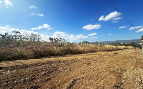  Large Land for Sale Located 100 Meters Away from the New Highway to León