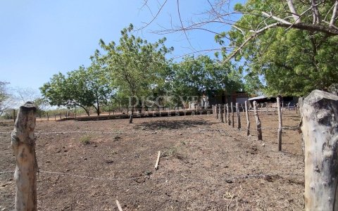  For sale farm for livestock and agriculture in an excellent location on the highway.