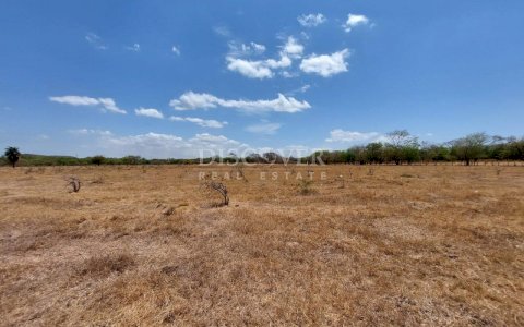  Agricultural and livestock property for sale located in Villa El Carmen