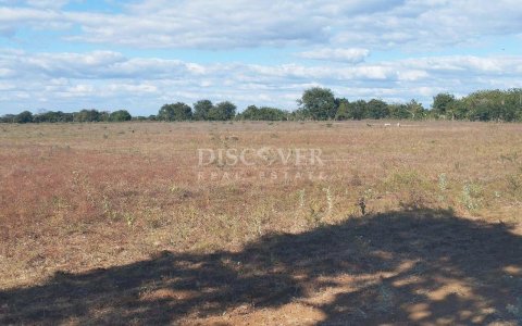 Land on the Masaya-Tipitapa highway for sale