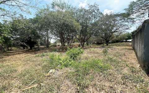  Large land for sale on Carretera Veracruz
